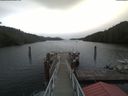 ./images/calvert/dock/20200516/dock20200516_104504.jpg
