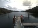 ./images/calvert/dock/20200530/dock20200530_133003.jpg