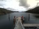 ./images/calvert/dock/20200530/dock20200530_134501.jpg