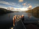 ./images/calvert/dock/20200530/dock20200530_195004.jpg