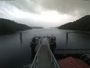 ./images/calvert/dock/20200602/dock20200602_095003.jpg