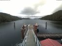 ./images/calvert/dock/20200602/dock20200602_121003.jpg