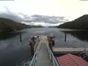 ./images/calvert/dock/20200603/dock20200603_124002.jpg