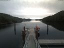 ./images/calvert/dock/20200605/dock20200605_094004.jpg