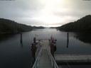 ./images/calvert/dock/20200605/dock20200605_100502.jpg