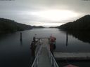 ./images/calvert/dock/20200605/dock20200605_104003.jpg
