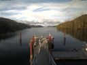 ./images/calvert/dock/20200605/dock20200605_200504.jpg