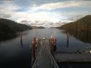./images/calvert/dock/20200605/dock20200605_202002.jpg