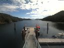 ./images/calvert/dock/20200607/dock20200607_114504.jpg