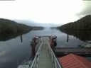 ./images/calvert/dock/20200610/dock20200610_052504.jpg