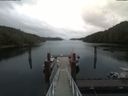 ./images/calvert/dock/20200610/dock20200610_125501.jpg