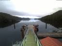 ./images/calvert/dock/20200611/dock20200611_050002.jpg