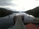 ./images/calvert/dock/20200611/dock20200611_054502.jpg