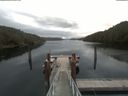 ./images/calvert/dock/20200611/dock20200611_121004.jpg