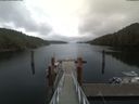 ./images/calvert/dock/20200612/dock20200612_114502.jpg