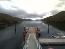 ./images/calvert/dock/20200615/dock20200615_142004.jpg