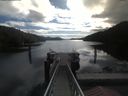 ./images/calvert/dock/20200617/dock20200617_094504.jpg