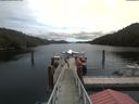 ./images/calvert/dock/20200617/dock20200617_114504.jpg