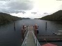 ./images/calvert/dock/20200619/dock20200619_101504.jpg