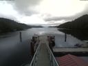 ./images/calvert/dock/20200620/dock20200620_131003.jpg