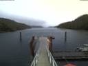 ./images/calvert/dock/20200622/dock20200622_215003.jpg