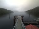 ./images/calvert/dock/20200623/dock20200623_142004.jpg
