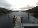 ./images/calvert/dock/20200624/dock20200624_110504.jpg