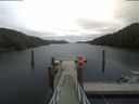 ./images/calvert/dock/20200624/dock20200624_125004.jpg