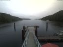 ./images/calvert/dock/20200625/dock20200625_201504.jpg