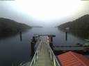 ./images/calvert/dock/20200626/dock20200626_051002.jpg