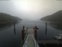 ./images/calvert/dock/20200626/dock20200626_121004.jpg