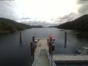./images/calvert/dock/20200627/dock20200627_121004.jpg