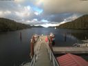 ./images/calvert/dock/20200627/dock20200627_200502.jpg