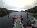./images/calvert/dock/20200715/dock20200715_135504.jpg
