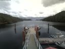 ./images/calvert/dock/20200716/dock20200716_154004.jpg