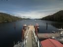 ./images/calvert/dock/20200720/dock20200720_143502.jpg