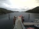 ./images/calvert/dock/20200813/dock20200813_140504.jpg