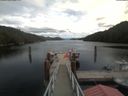 ./images/calvert/dock/20200815/dock20200815_132002.jpg