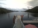 ./images/calvert/dock/20200817/dock20200817_145501.jpg