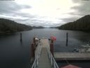 ./images/calvert/dock/20200817/dock20200817_164504.jpg
