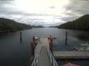 ./images/calvert/dock/20200817/dock20200817_165004.jpg