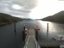 ./images/calvert/dock/20200819/dock20200819_085504.jpg