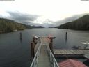 ./images/calvert/dock/20200820/dock20200820_123504.jpg