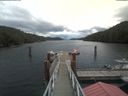 ./images/calvert/dock/20200820/dock20200820_125004.jpg