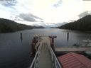 ./images/calvert/dock/20200820/dock20200820_140002.jpg