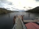 ./images/calvert/dock/20200820/dock20200820_140504.jpg