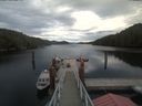 ./images/calvert/dock/20200827/dock20200827_174501.jpg