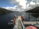 ./images/calvert/dock/20200829/dock20200829_140503.jpg