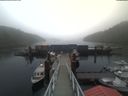 ./images/calvert/dock/20200901/dock20200901_162002.jpg