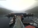./images/calvert/dock/20200901/dock20200901_163001.jpg